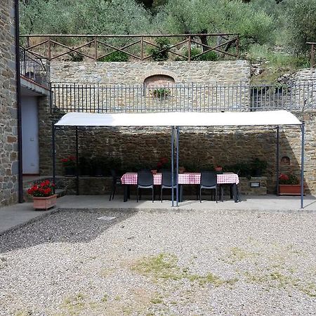 Agriturismo Il Torrino Villa Cortona Dış mekan fotoğraf